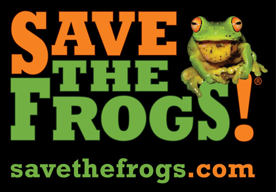 SAVE THE FROGS!